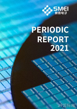 2021年年度报告