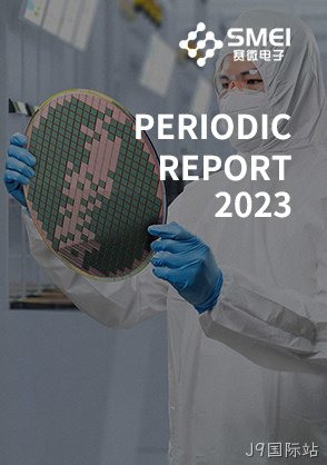 2023年年度报告